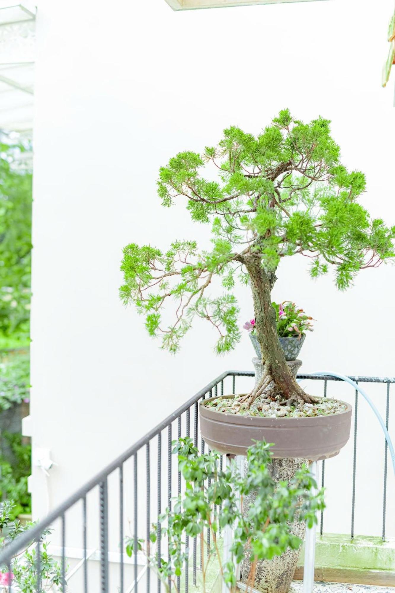 Villa Nho Xinh Khu Chi Lăng Extérieur photo