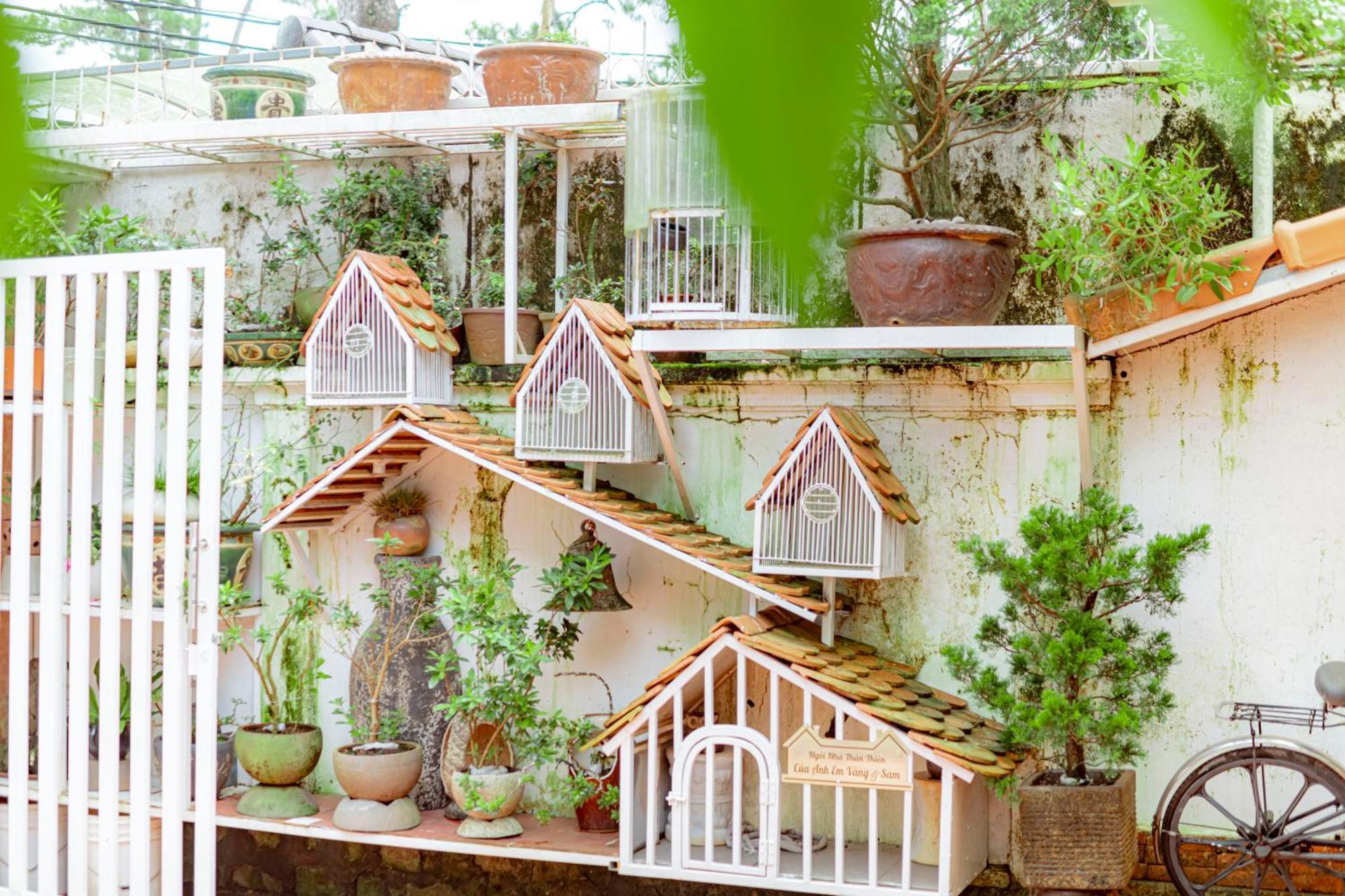 Villa Nho Xinh Khu Chi Lăng Extérieur photo